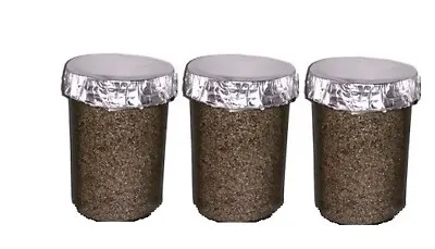 3 - Organic Fast Growing Mushroom Substrate Jars PF TEK BRF Sterilized • $35