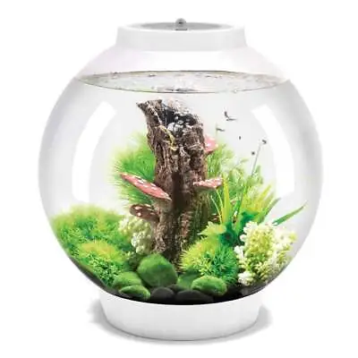 BiOrb CLASSIC 30 Aquarium Fish Tank MCR LED - White • £144.99