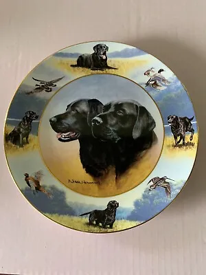 £9.99 • Buy Black Labrador Plate This Sporting Life  Nigel Hemming Royal Doulton Perfect