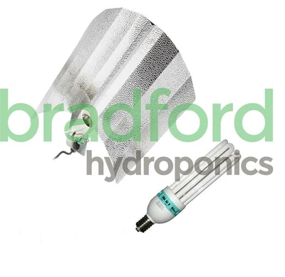 £40 • Buy Euro Reflector With 125w CFL 6100k (Blue)