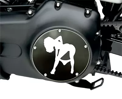 Panty Dropper Twin Cam Harley Davidson Derby Cover. Fits Twin Cam Motors • $136.71