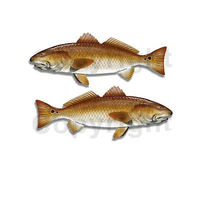 Redfish Sticker Decal Fishing RV Boat Car Truck Camper Trailer F052 2 Pack • $2.99