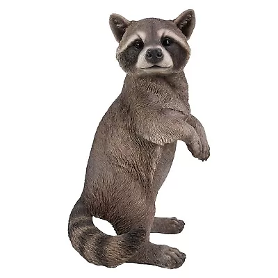 Standing Raccoon Garden Statue Lodge Decor Display Backyard Home Ornament • $81.27