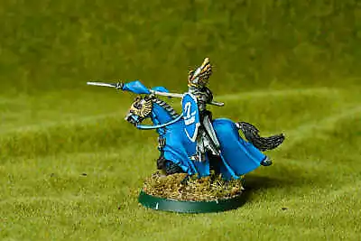 £20 • Buy Lord Of The Rings LOTR Dol Amroth Swan Knight  #3 Metal Pro Painted And Based