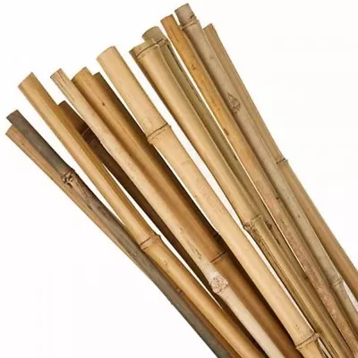 3ft-7ft Bamboo Wooden Plant Sticks Garden Plants Support Canes Strong Stick Cane • £6.99