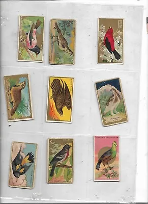 Nine Mecca Cigarettes Vintage Tobacco Cards Bird Series • $20