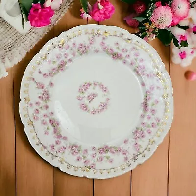 German Hand Painted Pink Roses Floral Plate Vintage Decorative • $45.99