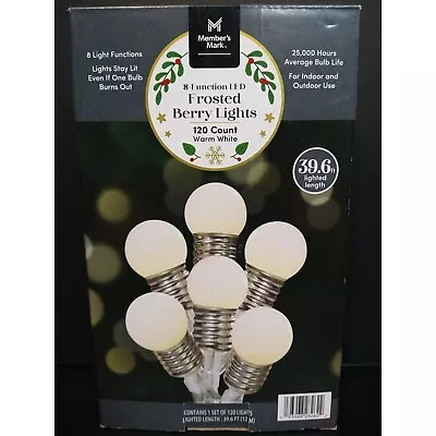 Members Mark 8 Function LED Frosted Berry Lights 120 Count Warm White • $25