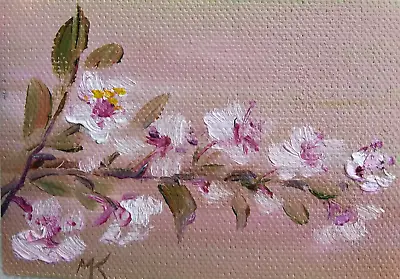 ACEO Original Oil Painting Canvas- Cherry Blossom Flower - 2.5X3.5in MK • $8
