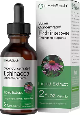 Echinacea Drops Liquid Extract 2oz Super Concentrated Tincture Non-GMO Horbaach • $14.75