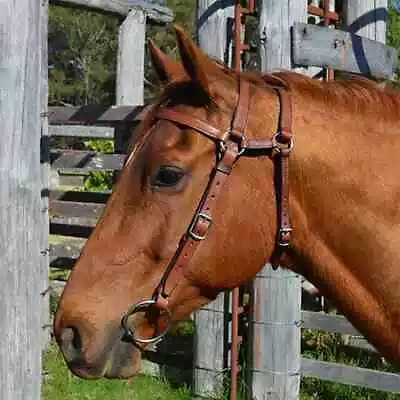 Western Fancy Horse Tack Brown Leather Bridle & Reins Set Fringe Style BR545 • $255