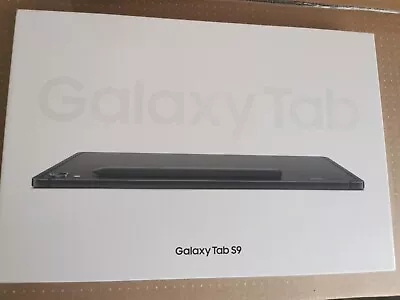 Samsung Galaxy Tablet Tab S9 256 GB 12 GB Android 13 Graphite • £499