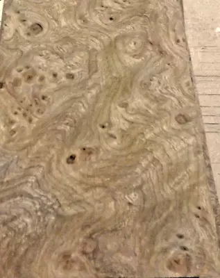 Elm Burl Carpathian Wood Veneer 4  X 8  Raw No Backing AA Grade 1/42  Thick • $17.50