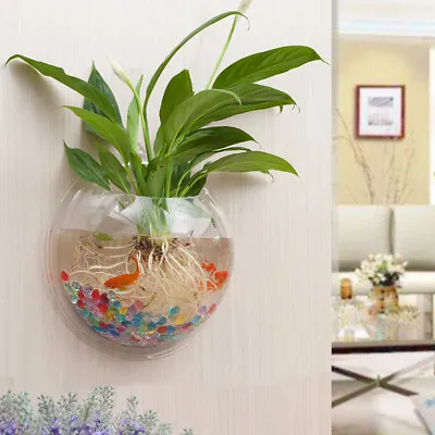 Wall Mounted Hanging Fish Bowl Aquarium Tank Beta Goldfish Plant Home Art Decor • $22.21