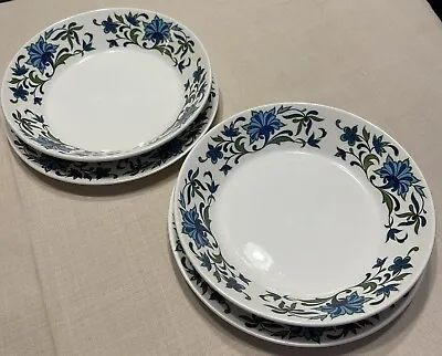 Midwinter Spanish Garden 2 X Cereal / Soup Bowl And 8” Plates Vintage Stafford • £12