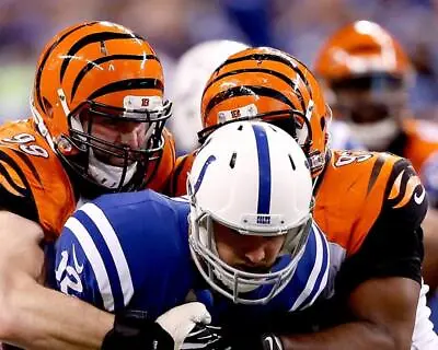 MARGUS HUNT Cincinnati Bengals  8X10 PHOTO PICTURE 22050703612 • $15.93