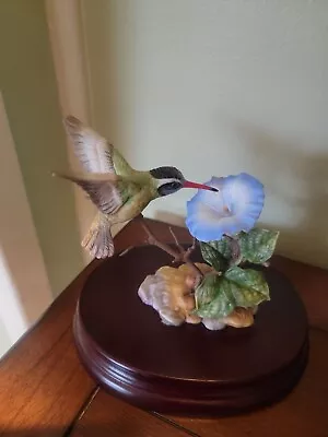 Maruri Porcelain Hummingbird Figurine White-eared Hummingbird With Morning Glory • $60