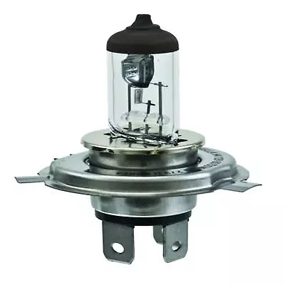 Hella HELLA H4 Standard Series Halogen Light Bulb For 2016 Piaggio Fly 50 4V 922 • $22.95