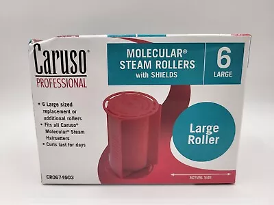 6 Pcs Caruso Professional 6pc Molecular Steam Rollers LARGE Rollers NEW Open Box • $18.95