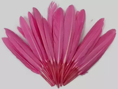 Magenta Pink Small Duck Cosse Feathers 5-6  36 Pc DIY Crafts Decor Millinery • $8.99