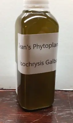 Dean's Phytoplankton Live 16oz Isochrysis Galbana • $17.99