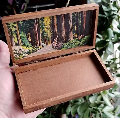 Vintage Small Hinged 5in Trinket Box Redwood Forest Souvenir Box • $19.90