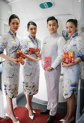 £330 • Buy China Hainan Airlines Cabin Crew Uniform Cheongsam UK 14-UK 16