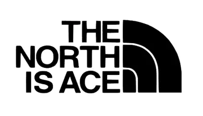 'the North Is Ace' Vinyl Decal - Face Northener Funny Logo For Window Car Etc • £3.25