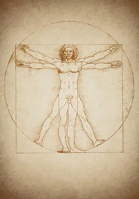 Decor Poster.Home Interior Design.Da Vinci Vitruvian Man.L'Uomo Vitruviano.6918 • $51