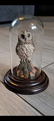 Country Artists Vintage Owl Domed Glass Original RARE  • £5.99