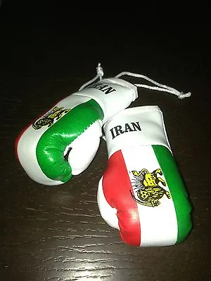 Iran Iranian National Country Flag Mini Boxing Gloves Ornament Brand New • $5.47