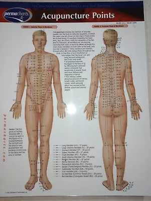 Acupuncture Points Chart 8-1/2  X 11  • $6