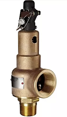 KUNKLE VALVE Safety Relief Valve (1in ID 1 1/4in OD) - 6010FEE01-AM0150 / 5NKY6 • $299.95