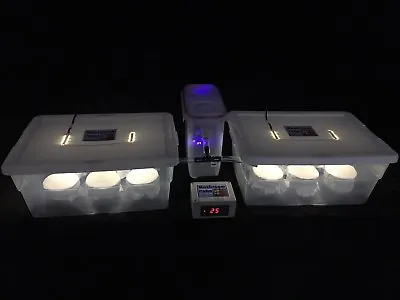 Elite Mushroom Growing Kit With 12 PF Tek Style Jars - Expandable/Automated • $159