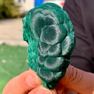 166G Natural Glossy Malachite Cat Eye Transparent Cluster Rough Mineral Sample • $7.61