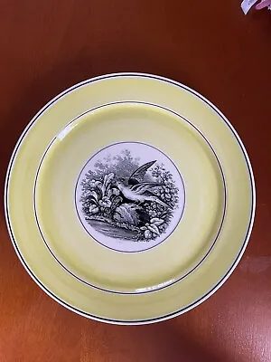 Vintage Villeroy & Boch INDIA BIRDS PLATE #4 Germany 9” • $19.99