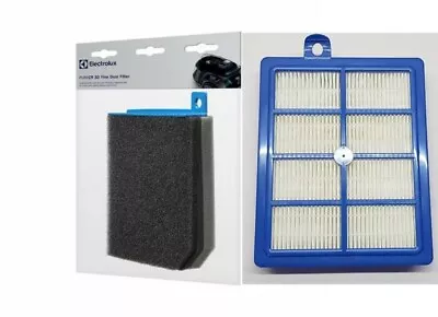 Electrolux Pure C9 Origin Allergy Animal 3D Filter Kit EF158 & Hepa (ESKC9A) • $29.95