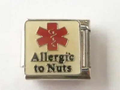  MEDICAL ALLERGY TO NUTS  ITALIAN CHARM LINK  Fits All 9mm Italian Bracelet N8 • £3.10