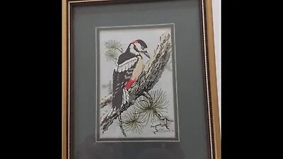 £5 • Buy J J Cash Jacquard Loom Artistry Great Spotted Woodpecker Picture Small