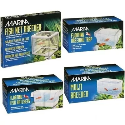 Marina Breeding Fish Tank Net Floating Breeder Hatchery Breed Fry Betta Trap Box • £4.93