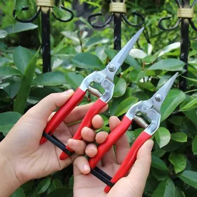Pruning Shears Pruners Garden Scissors Cutter Fruit Secateurs Bonsai Gardening • £16.52