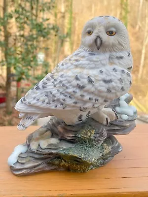 1986 Snowy Owl Hamilton Collection Maruri Majestic Owls Of The Night Vintage • $25