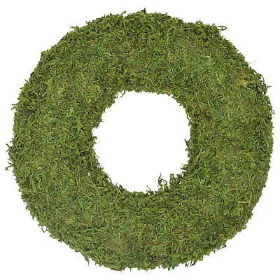 Northlight 13  Green Reindeer Moss Artificial Floral Spring Wreath • $25.19