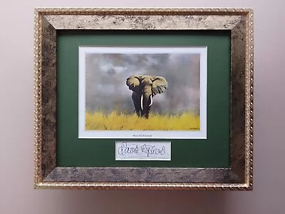 David Shepherd Print 'Wise Old Elephant' Signature In The Mount FRAMED • £42.50