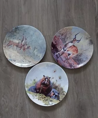 Set Of 3 David Shepherd African Wildlife Plates Collection By Wedgwood. Danbury. • £19.90