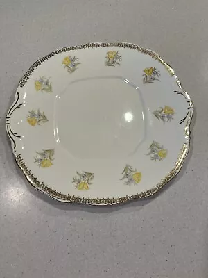 Vintage Salisbury Bone China Large Cake/serving Plate - Made In England • $25