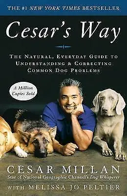 Cesar's Way By Cesar Millan (Paperback 2007) • £7.16