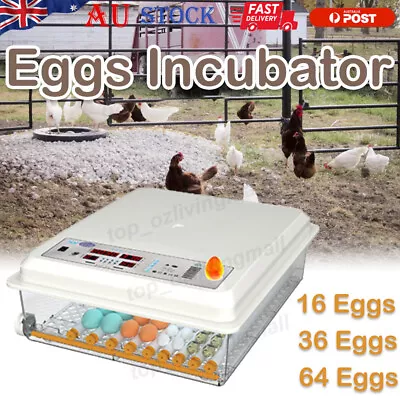 Egg Incubator 64 Egg Digital LED Fully Automatic Turning Chicken Duck Poultry AU • $49.33