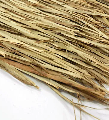 $119.99 • Buy 30'' X 30ft Mexican Palm Thatch Roll Grass Palm Leaf Thatching