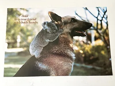 Vintage Argus Koala Dog German Shepherd Uplifting Funny Poster -21” X 14” -#2438 • $29.99